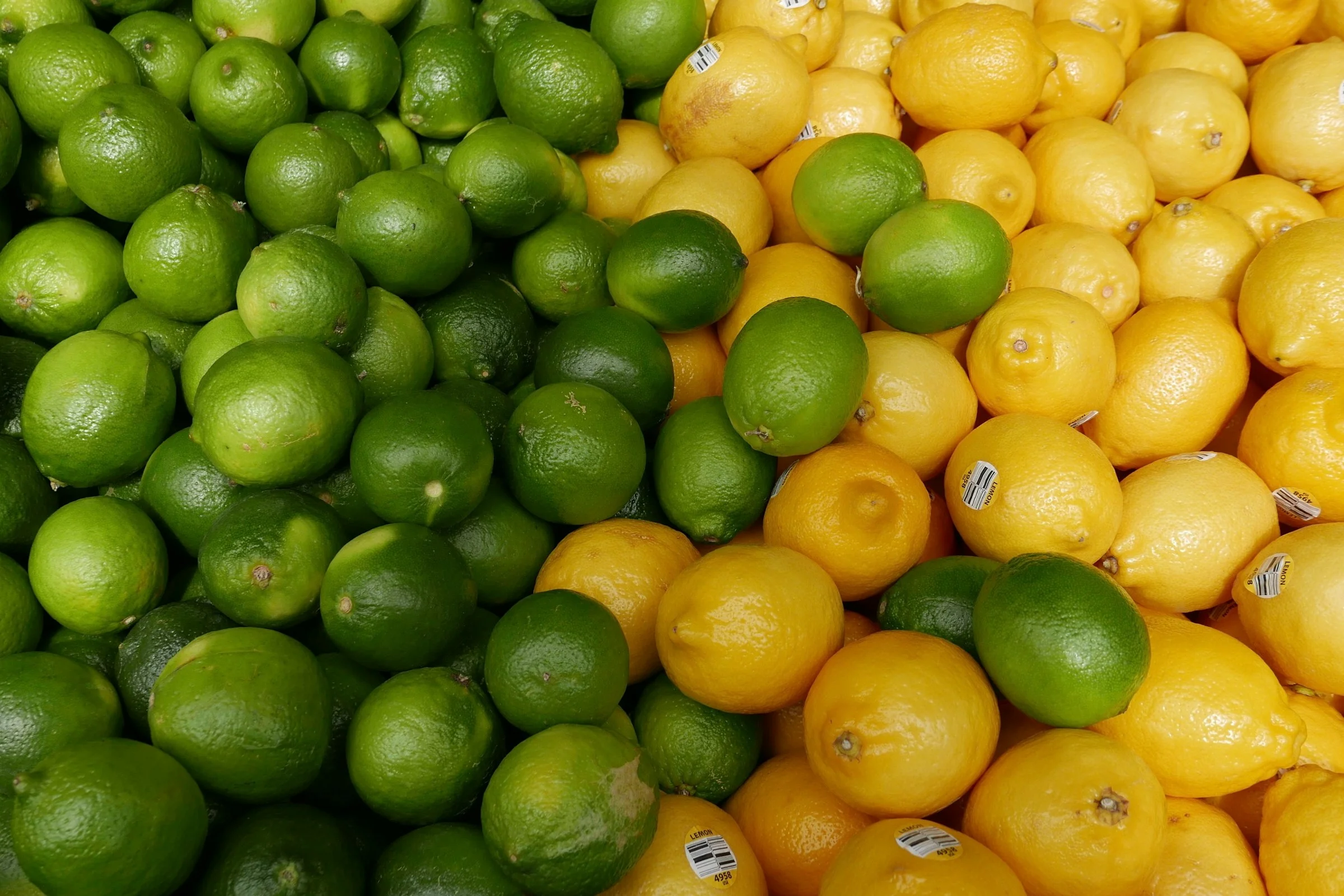 Comparaison visuelle citron jaune et lime verte, différences de taille et couleur